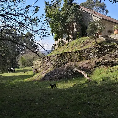 Paraiso Natural Con Cascada Ribeira